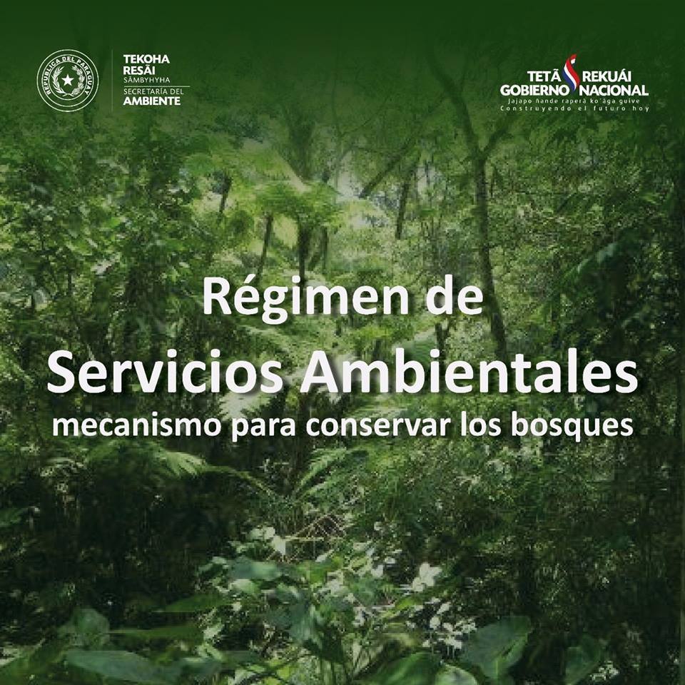 SEAM promueve la sustentabilidad mediante la Certificación de Servicios Ambientales