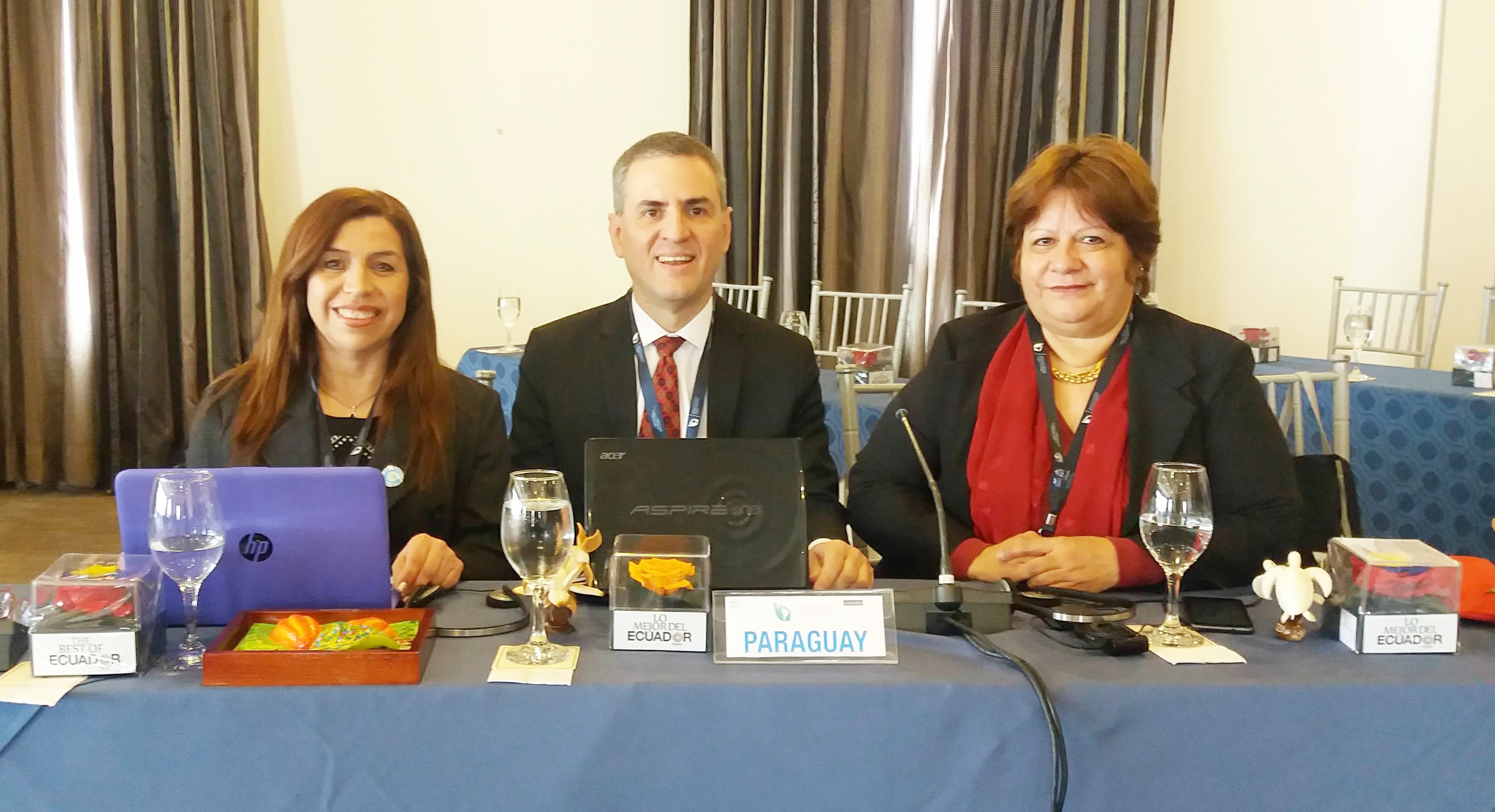 MADES participa en la reunión Regional conjunta de la Red de funcionarios nacionales del ozono