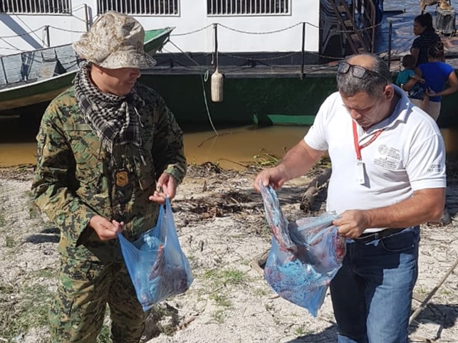 MADES decomisa piezas faenadas de animales silvestres en Bahía Negra