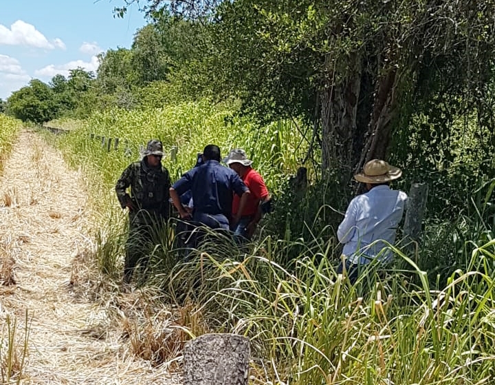 MADES intervino desmonte en tierras reclamadas por la Comunidad Indígena Yshir