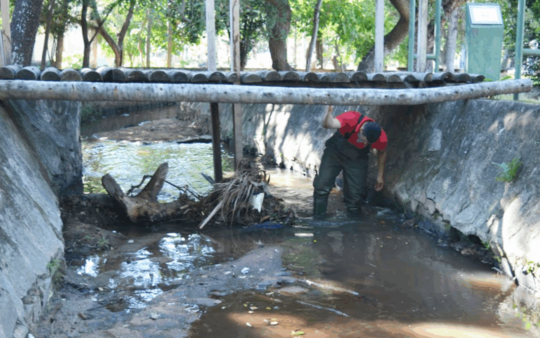 Técnicos verifican situación ambiental de curso hídrico de San Bernardino