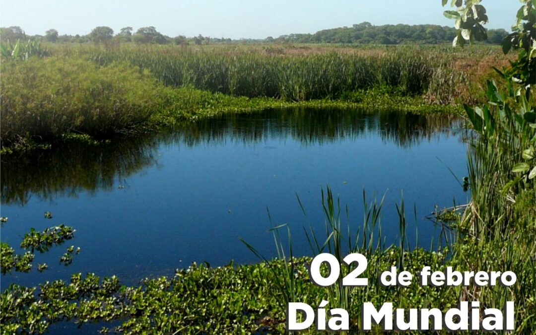 02 de febrero: Día Mundial de los Humedales