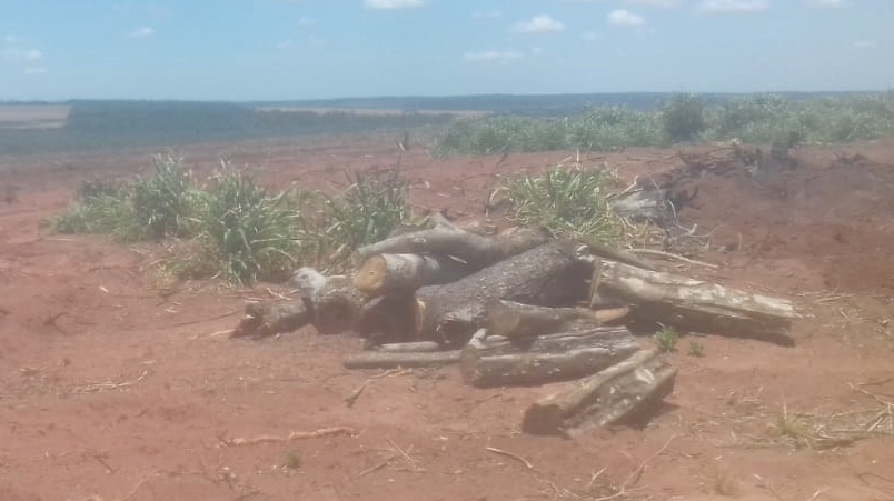 MADES interviene desmonte de 80 hectáreas en San Pedro
