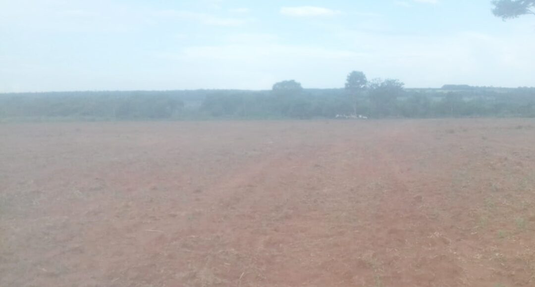 MADES interviene propiedad por remoción mecanizada de arbustos sin licencia ambiental
