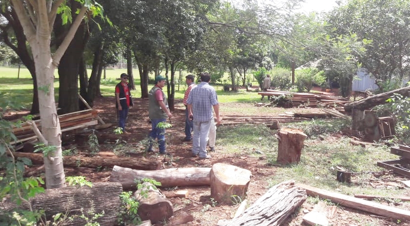 Aserradero que funcionaba sin licencia ambiental fue intervenido por el MADES