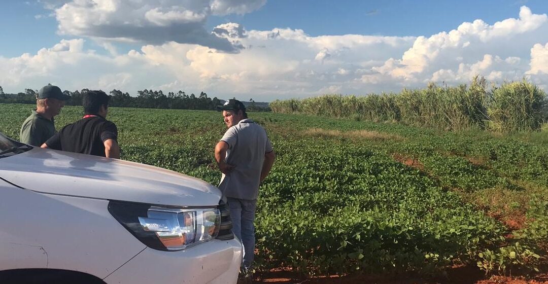 MADES interviene proyecto agrícola por no cumplir con normativas ambientales