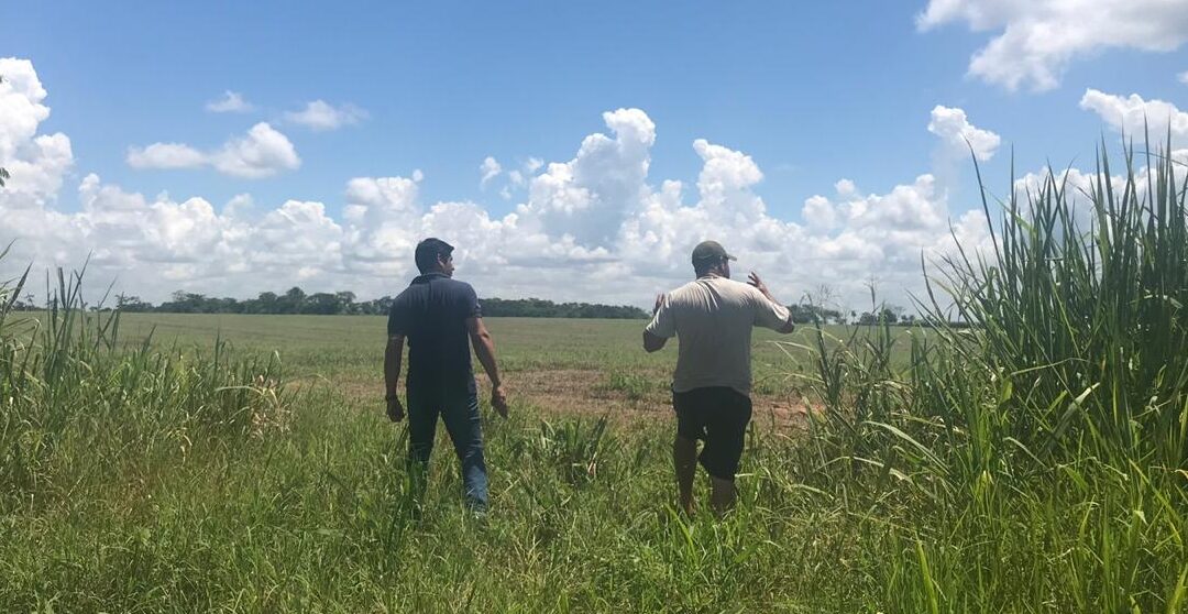 Intervienen un emprendimiento de explotación agrícola en San Pedro