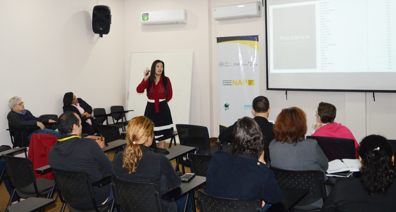 Presentación y validación del Estudio de Salud Pública y Formalización del sector MAPE