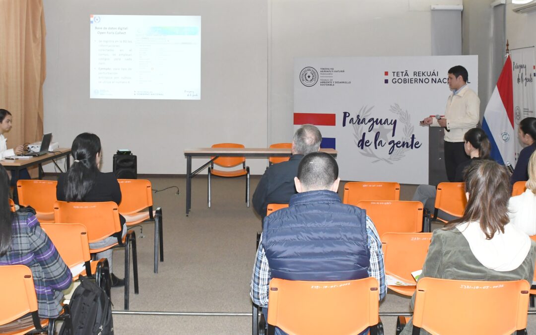 Taller sobre degradación de bosques y su posible medición a los efectos de REDD+