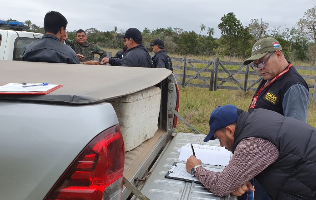 Concepción: Estancia fue intervenida por realizar desmonte para pastura