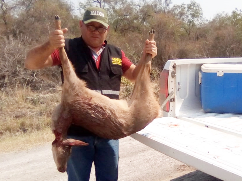 Interceptan a supuesto cazador de animales silvestres en Bahía Negra
