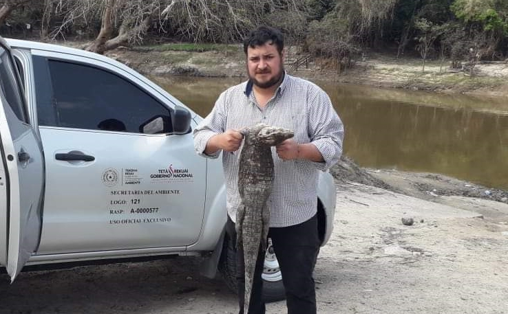 Decomisan animales silvestres en riacho del  Aguaray Guazú