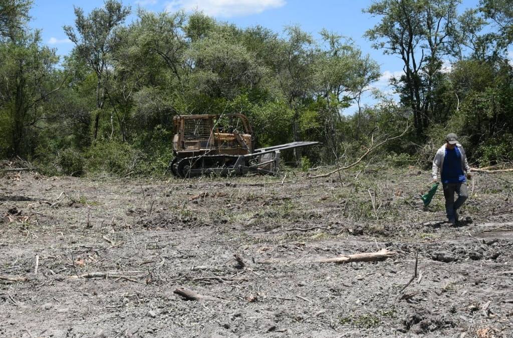 MADES impone fuerte multa a Ganadera por desmonte de 2.974 hectáreas