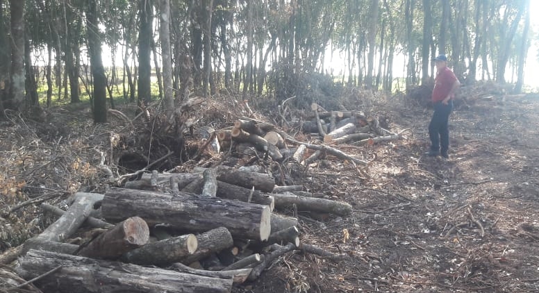 Varias infracciones a normativas ambientales fueron corroboradas en una propiedad