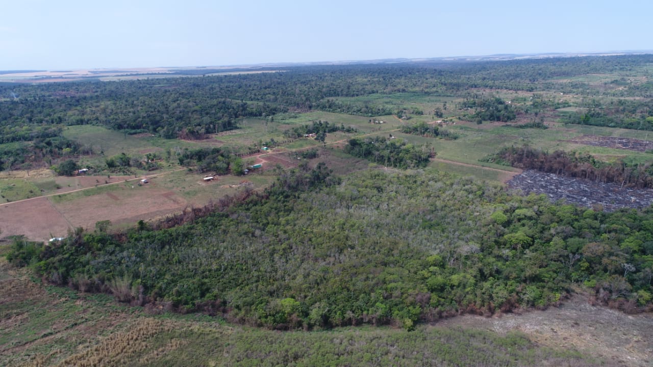 Canindeyú: Ocupantes de una propiedad alteran un área boscosa nativa sin criterio ambiental