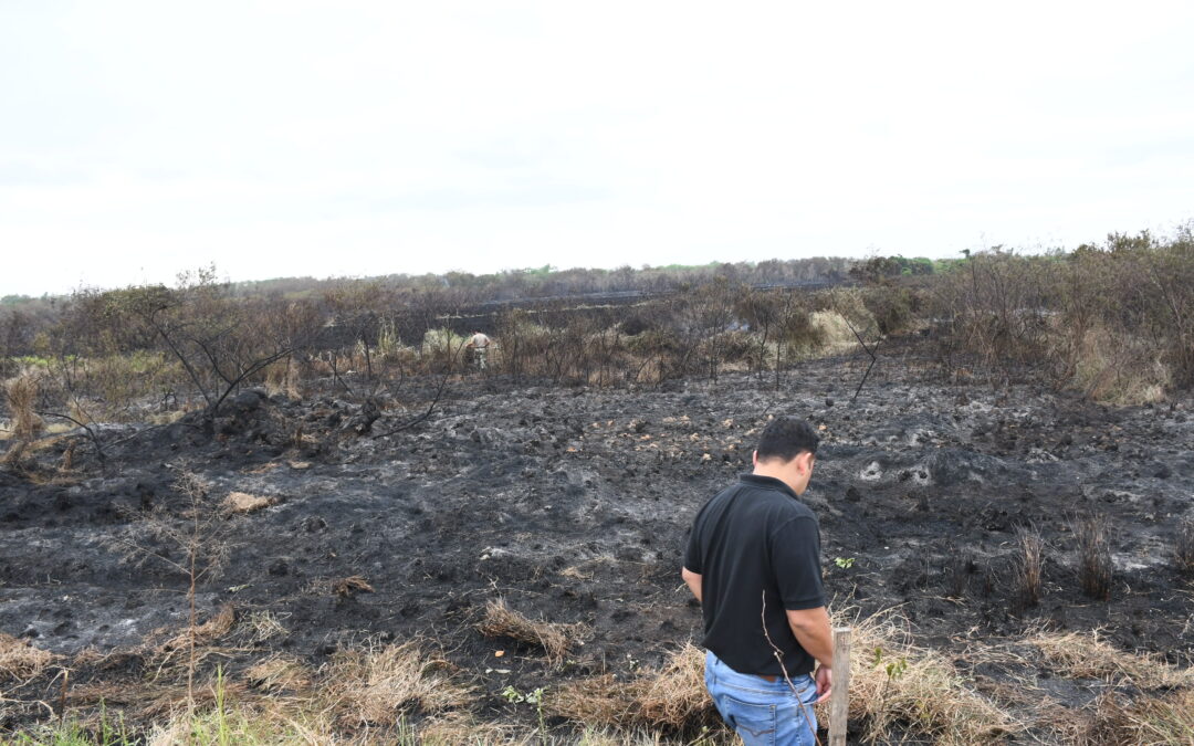 Incendio en el Parque Guasú fue presumiblemente provocado