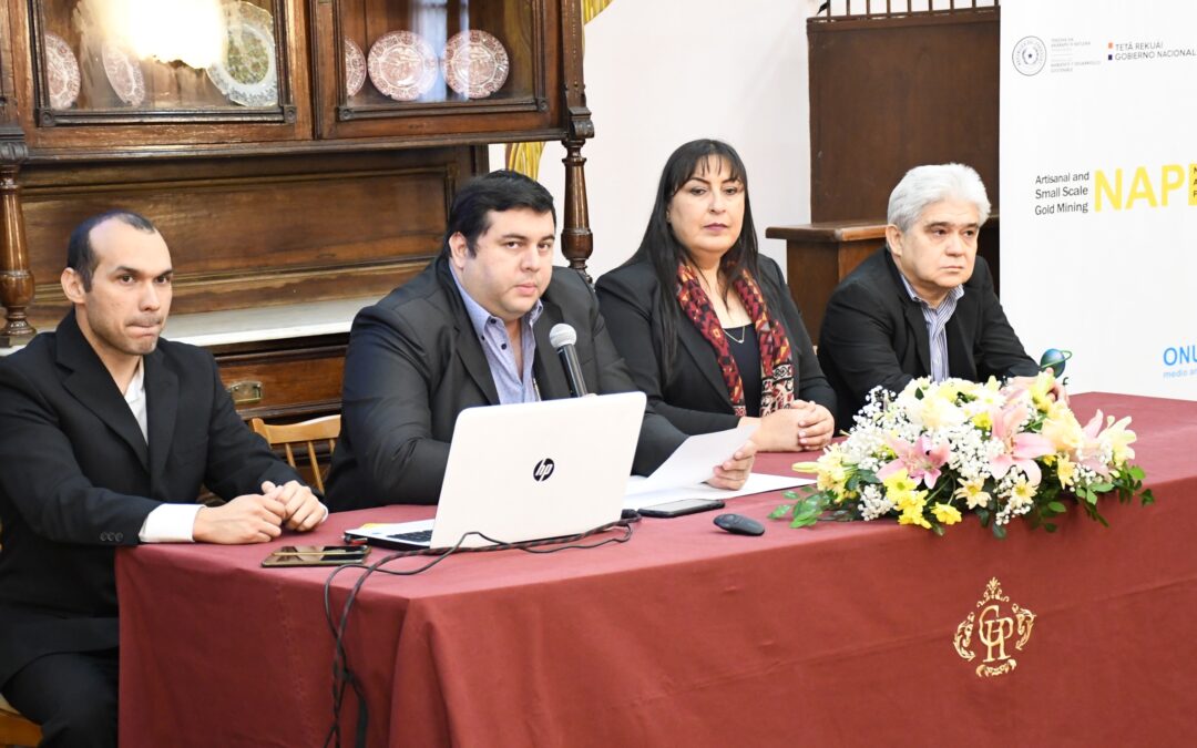 Presentación y validación de Estrategias de Aplicación del Plan de Acción Nacional