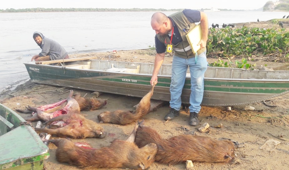 Concepción: Animales Silvestres y pescados fueron decomisados a orillas del Río Paraguay