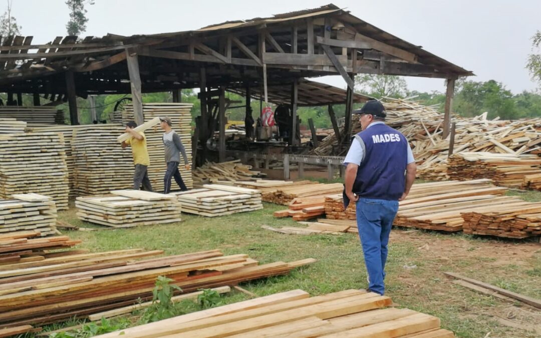 Caazapá: Aserradero fue intervenido por no contar con documentaciones y medidas de prevención de incendios