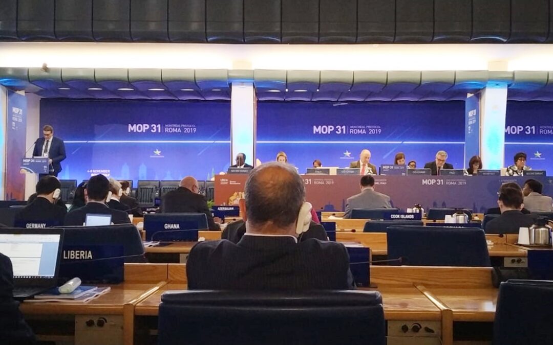 Italia: MADES participa en las reuniones del Protocolo de Montreal