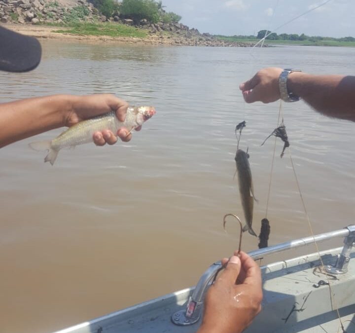 OPERATIVO VEDA: MADES intensifica controles en aguas del río Paraguay