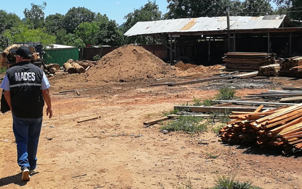 Caazapá: Aserradero fue intervenido por no contar con documentaciones ambientales