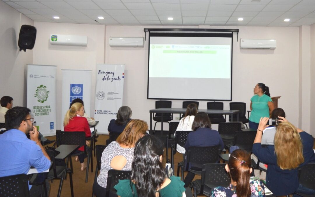 Realizan taller para actualización del Plan Estratégico del SINASIP 2018-2028