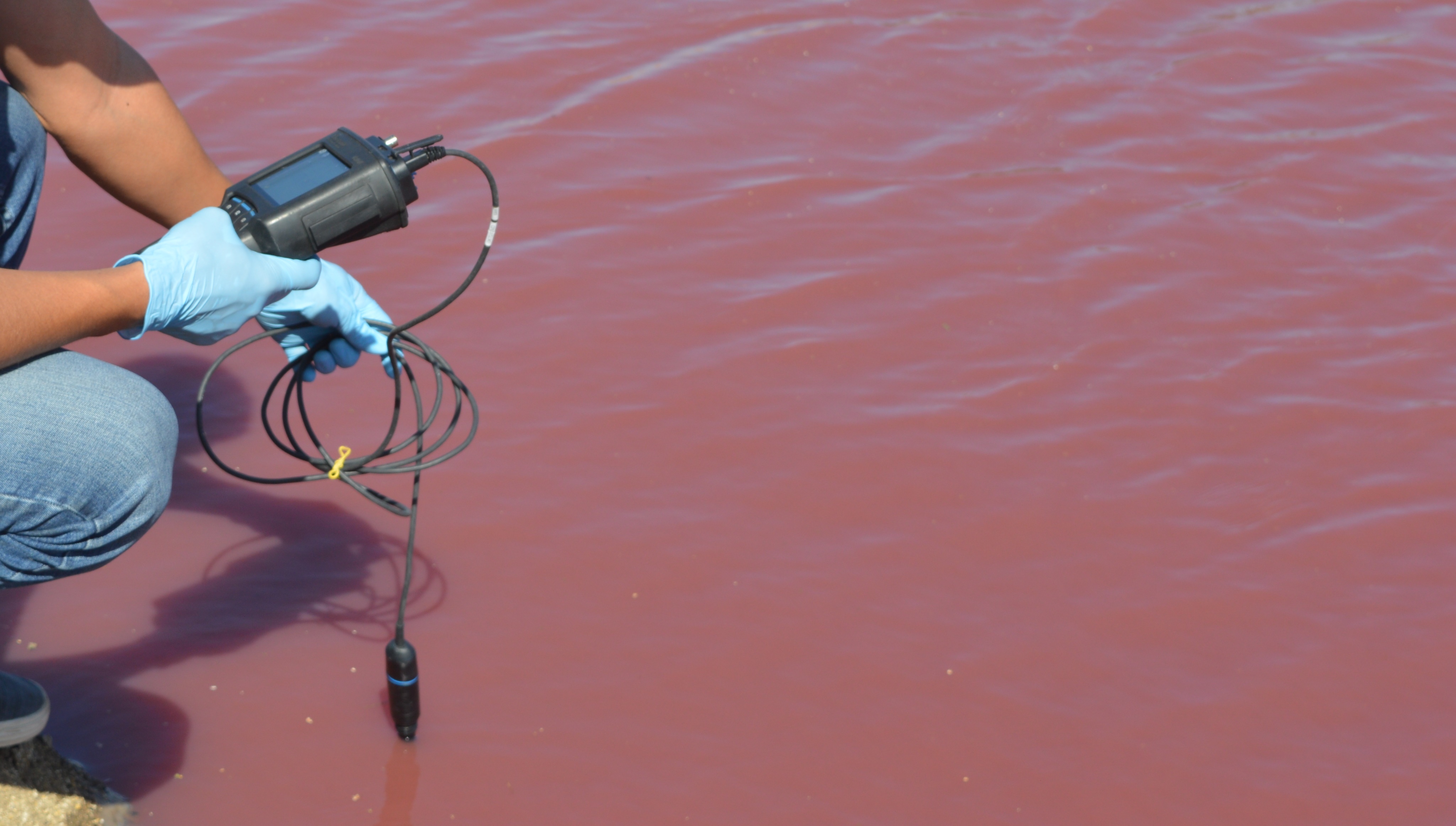 Loma Plata: Técnicos del MADES realizan estudios al tajamar que se tiñó de rojo