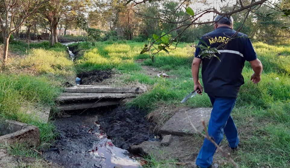 San Pedro: Matadero que operaba sin documentación y sin criterios ambientales fue intervenido
