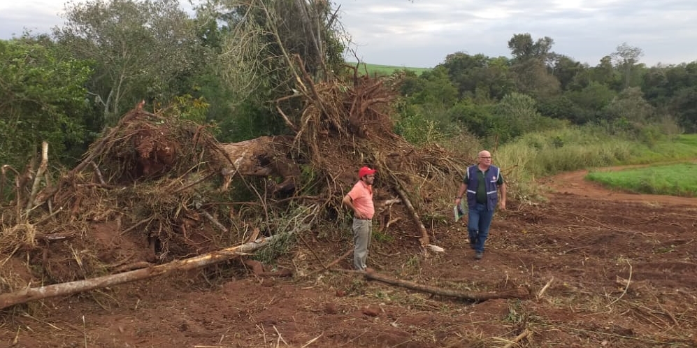 Intervienen trabajos de volteo y destronque de árboles nativos en zona de amortiguamiento del Parque Nacional Caazapá