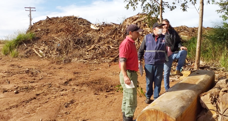 Aserradero con mala disposición de sus residuos y sin documentaciones ambientales