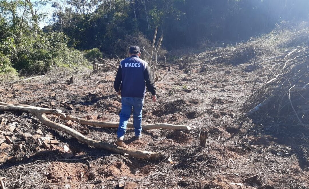 Intervención por un hecho de desmonte en una propiedad privada  de Paraguarí