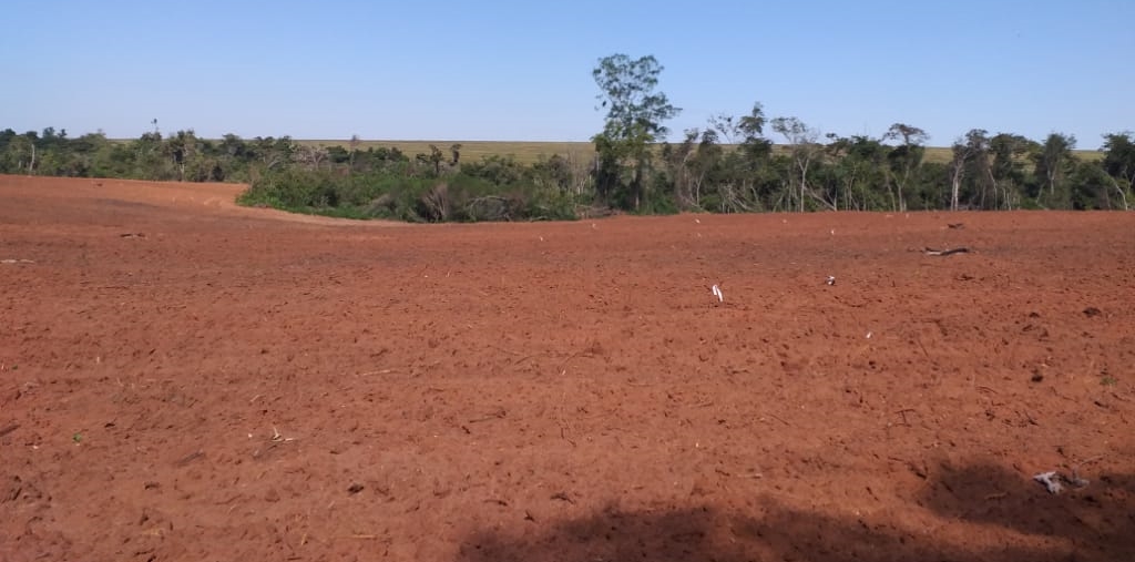 Canindeyú: MADES intervino una propiedad por el desmonte de 160 hectáreas de bosque