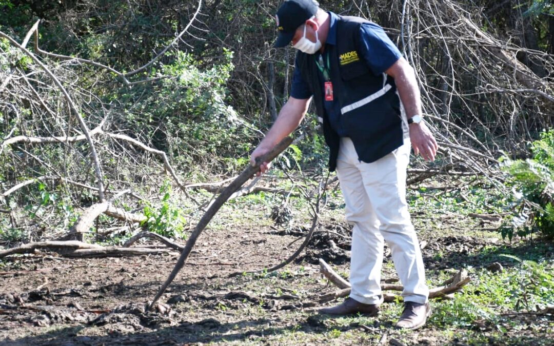 Luque: Nueva intervención a  matadería por incumplir disposiciones ambientales