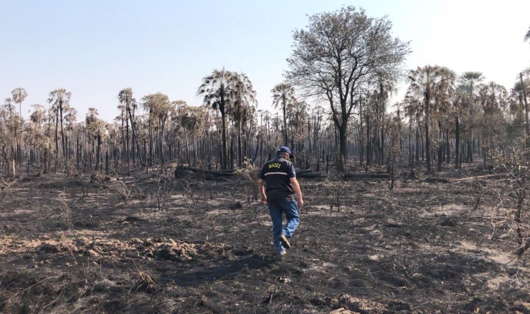MADES verificó propiedades en Cadete Pando donde se observaron quema de pastizales