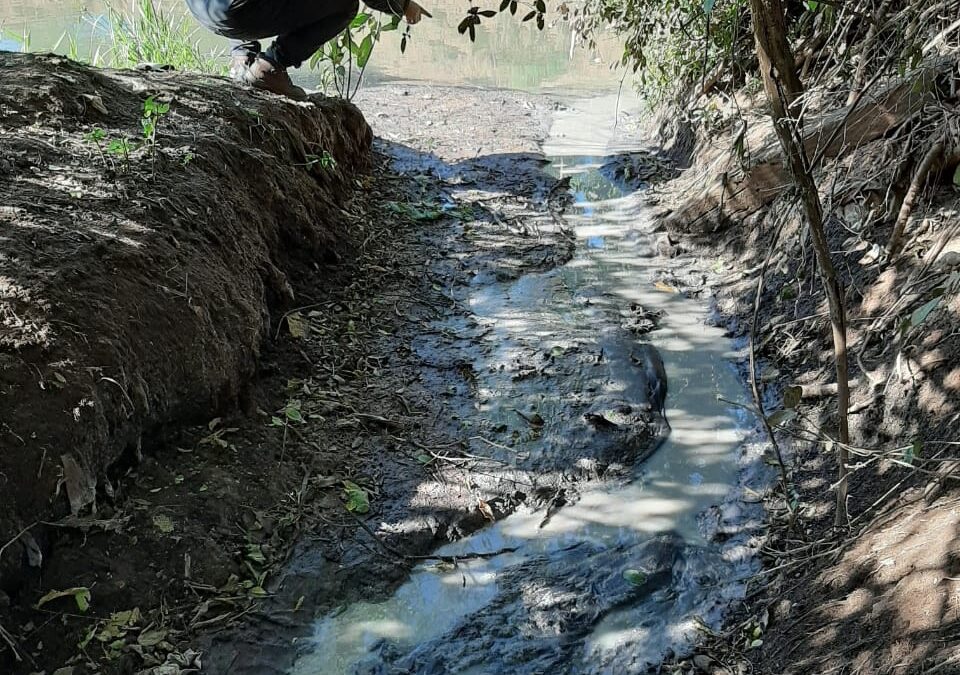 Intervienen curtiembres por verter sus efluentes al Arroyo Yaguarón