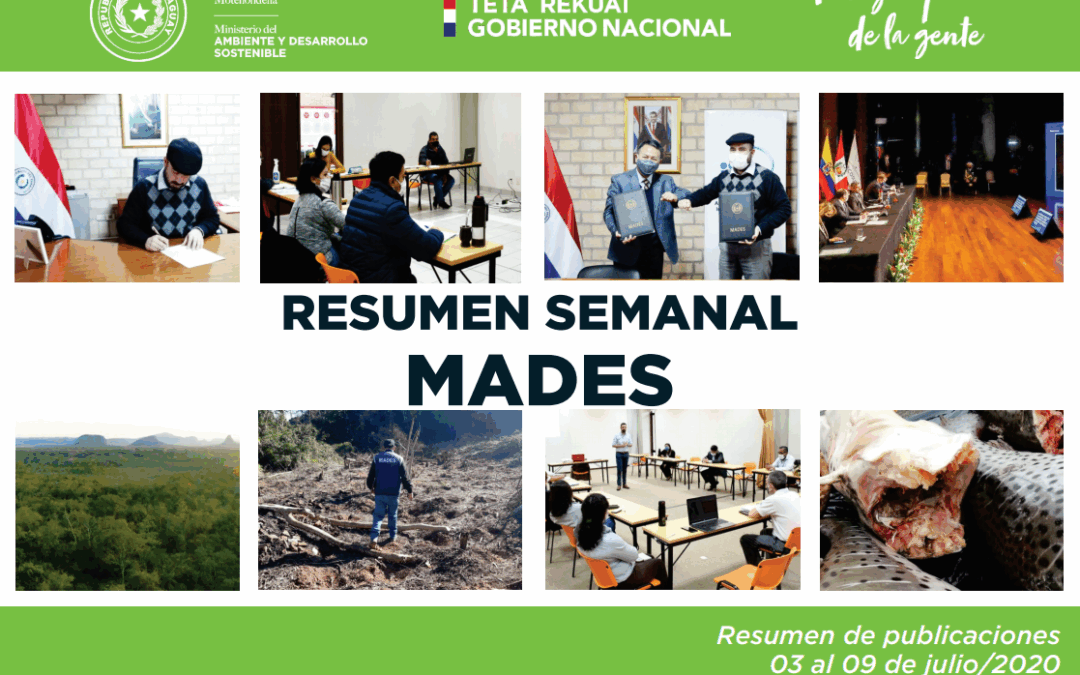 Resumen Informativo Semanal del MADES