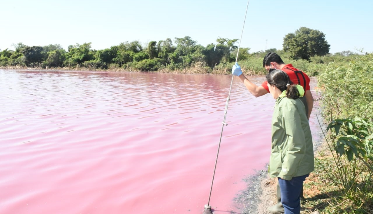 Laguna Cerro: Resultados demuestran una alta contaminación de las aguas
