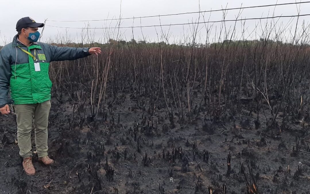 Verifican zona del Lago Ypoá que fue afectada por quemazones
