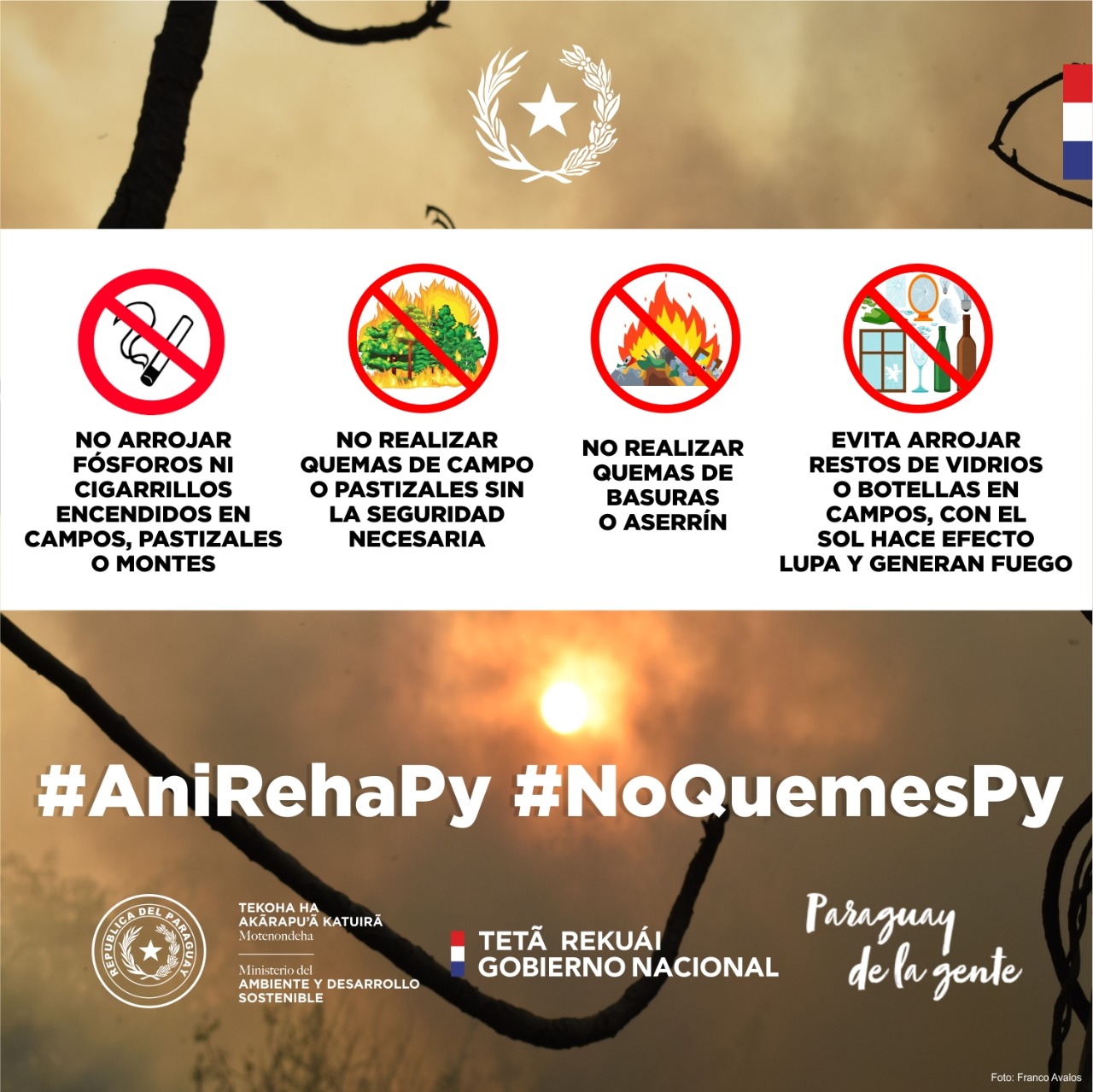 AniRehaPy: ¿Cómo se producen y propagan los incendios rurales y forestales?