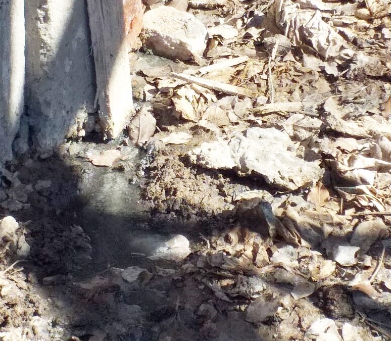 Empresa suma agravantes a su sumario tras constatarse nuevo vertido a la Laguna Cerro