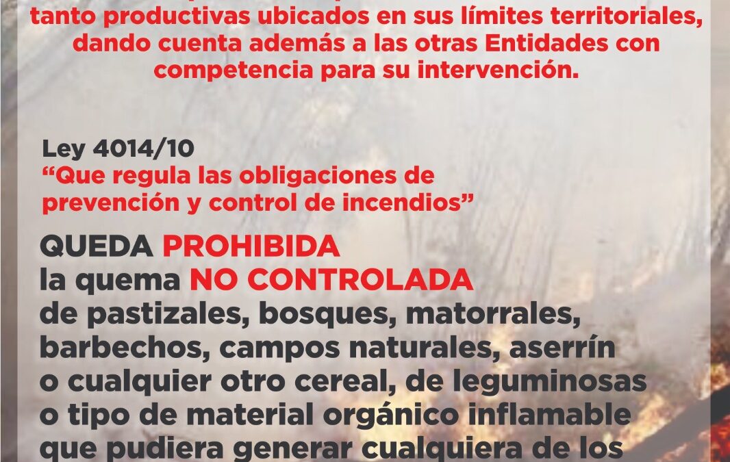 MADES pide hacer cumplir la Ley 4014/10 sobre prevención y control de incendios