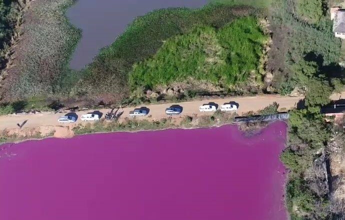 Multa de 10.000 jornales mínimos para Comisión Vecinal por construcción de camino sobre Laguna Cerro