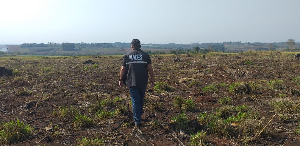 MADES constata 41 hectáreas de desmonte en Itapúa e investigará a responsables