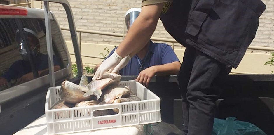 Decomiso y posterior donación de pescados en Caacupé