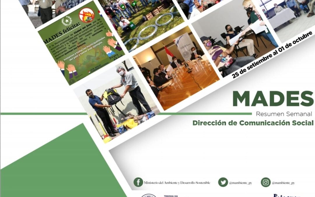 RESUMEN INFORMATIVO SEMANAL