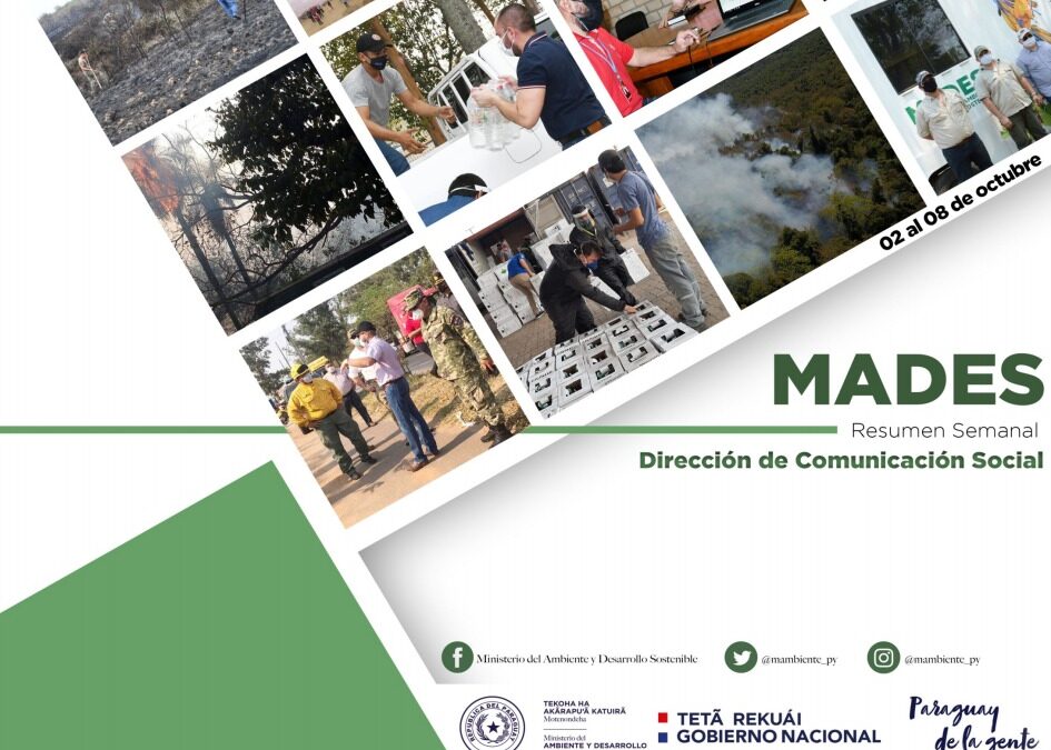 RESUMEN INFORMATIVO SEMANAL