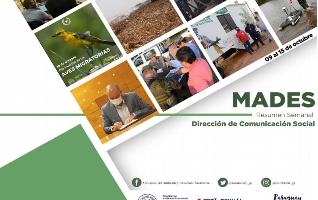 RESUMEN INFORMATIVO SEMANAL