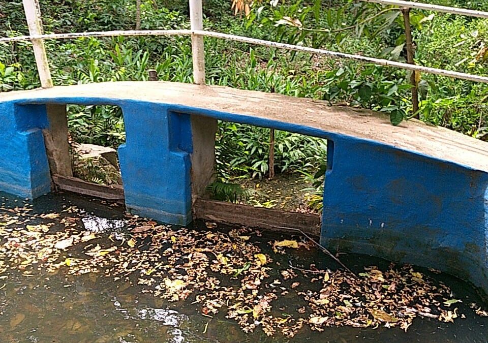 Paraguarí: Intervención en una propiedad por represamiento de un cauce hídrico