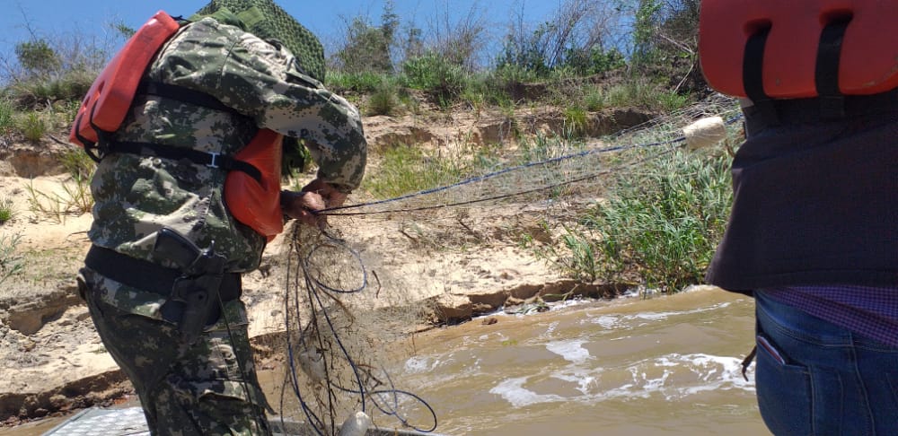 Piquete Cué: Retiran 3.500 metros de espineles y redes de monofilamentos del Río Paraguay